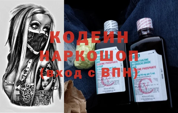 крисы Богородицк