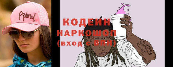 индика Усинск
