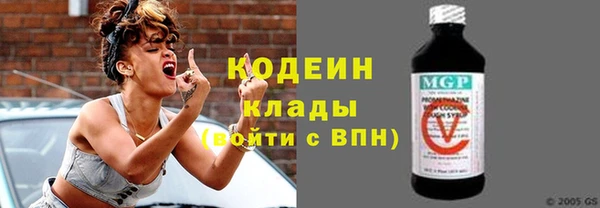 крисы Богородицк