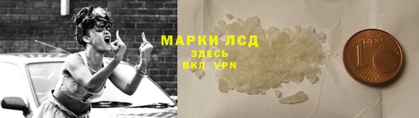 крисы Богородицк