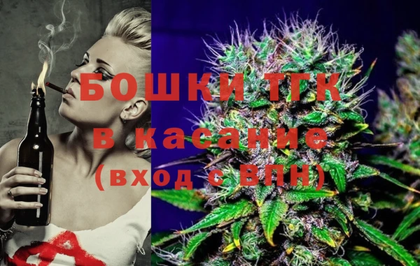 индика Усинск