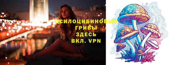 мдма Приозерск