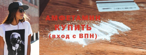 крисы Богородицк