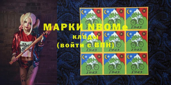 крисы Богородицк